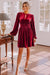 Wenrine Womens Burgundy Velvet Long Sleeve Mini Dress