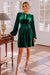 Wenrine Womens Green Velvet Long Sleeve Mini Dress