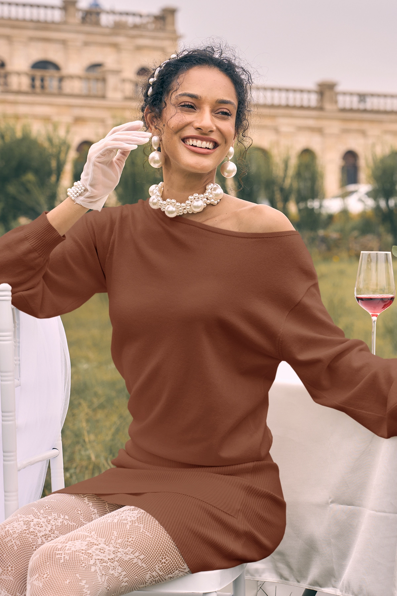 Wenrine Womens Coffee One Shoulder Sweater Dress