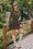 Wenrine Womens Coffee Lace Mini Dresses