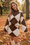 Wenrine Womens Coffee Argyle Sweater Skirt Sets