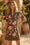Wenrine Womens Brown Floral Puff Short Sleeve V Neck Dresses
